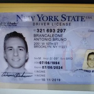 NY Driver License