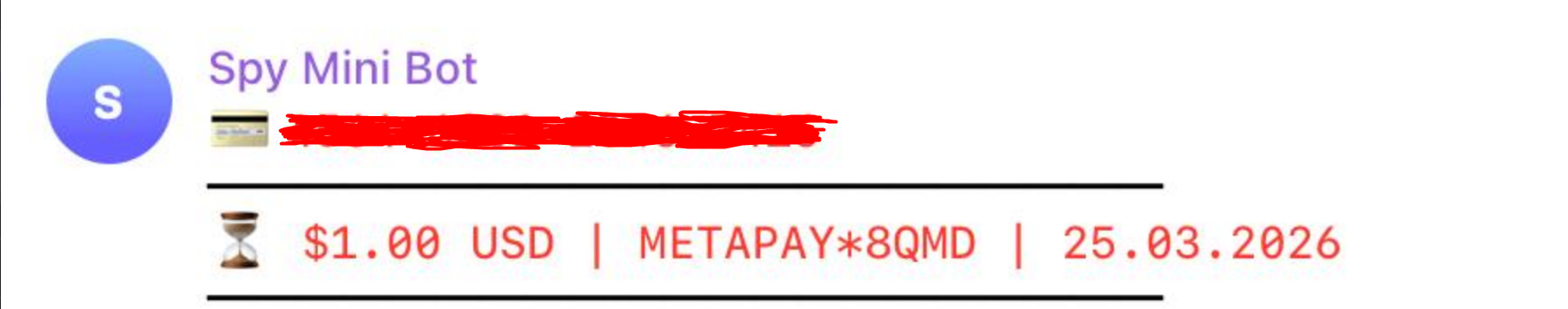 MetaPay.png