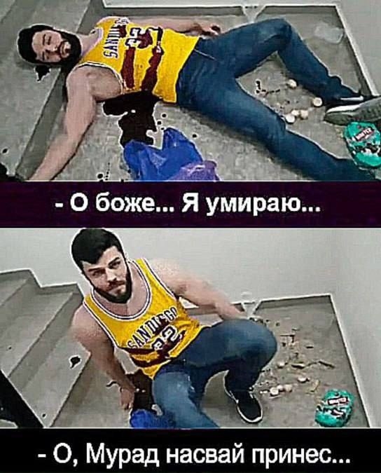 живой кардер.jpg