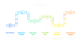 Anti-Fraud DNS Leak Process.png