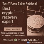 Which Reliable Bitcoin Recovery Experts.jpeg