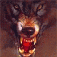 grey_wolf