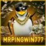 MrPingwin777
