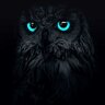 Owls 🦉_Vision 🦉