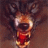 grey_wolf