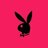 Playboy Bunny