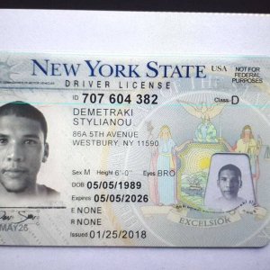 Driver License NY